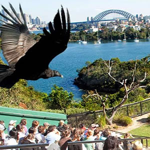 Taronga Zoo